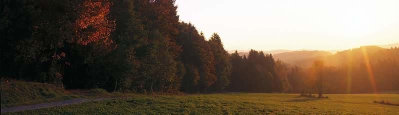 Teutoburger-Wald